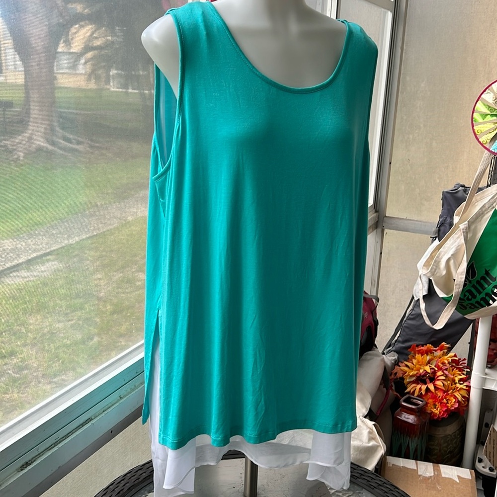 Worthington Ladies plus size aqua and white lined top